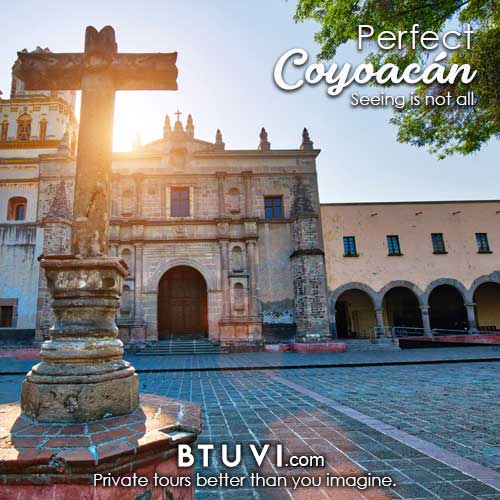 02_perfect-coyoacan